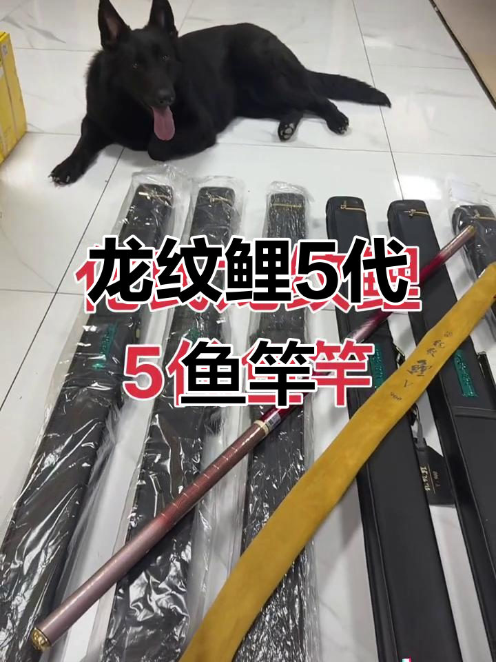 龙纹鲤5代鱼竿,钓鱼人必备的疯狂装备