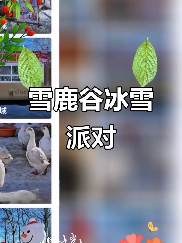 雪鹿谷冰雪派对,超值团购来袭!