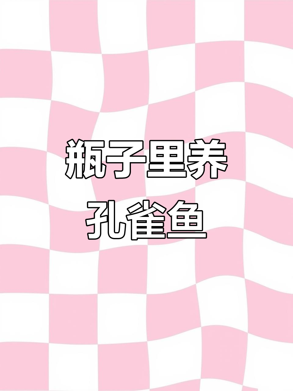 用矿泉水瓶打造简易鱼缸,挑战孔雀鱼的生存极限