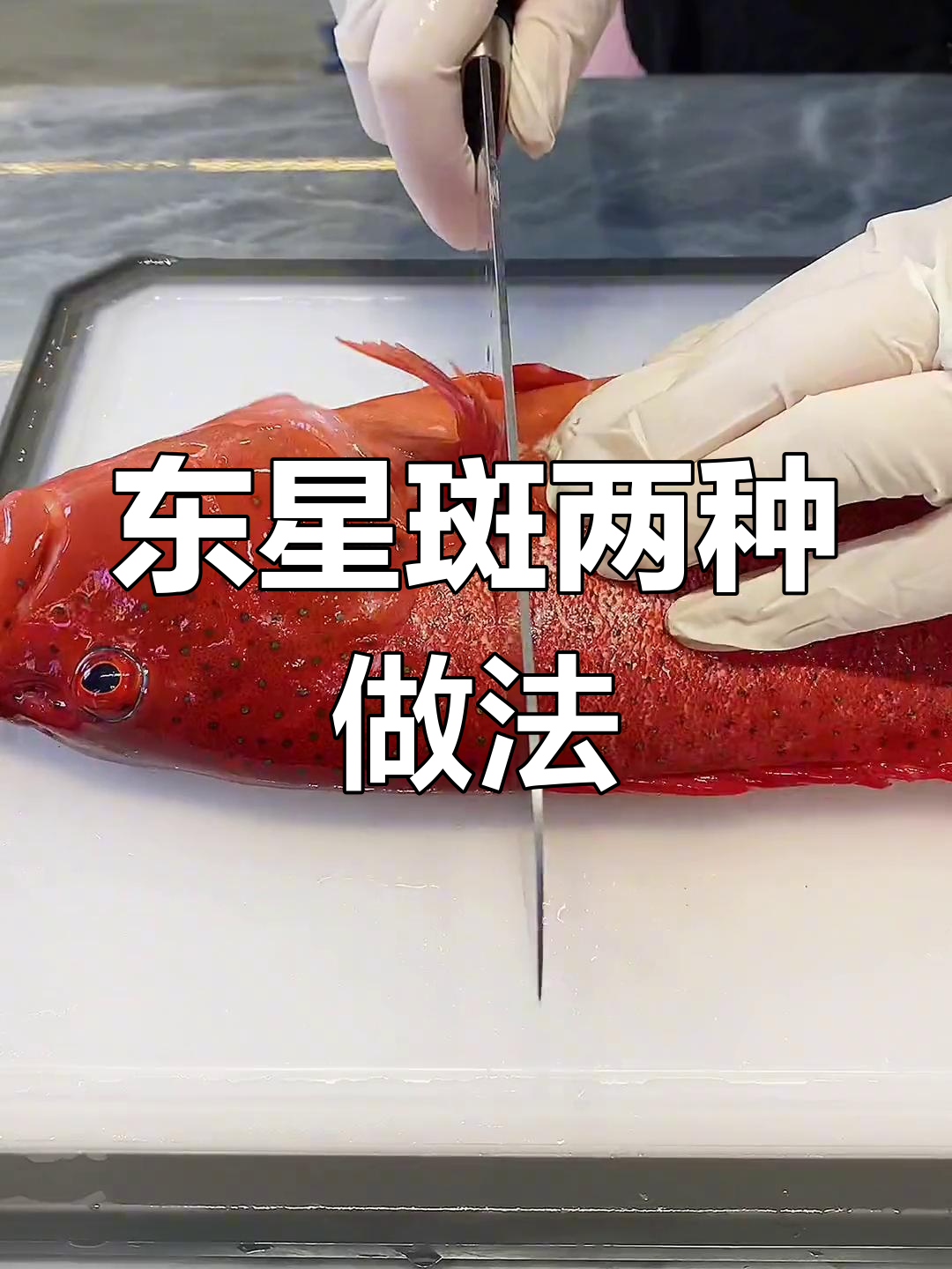 两条东星斑,刺身与水煮的完美对比