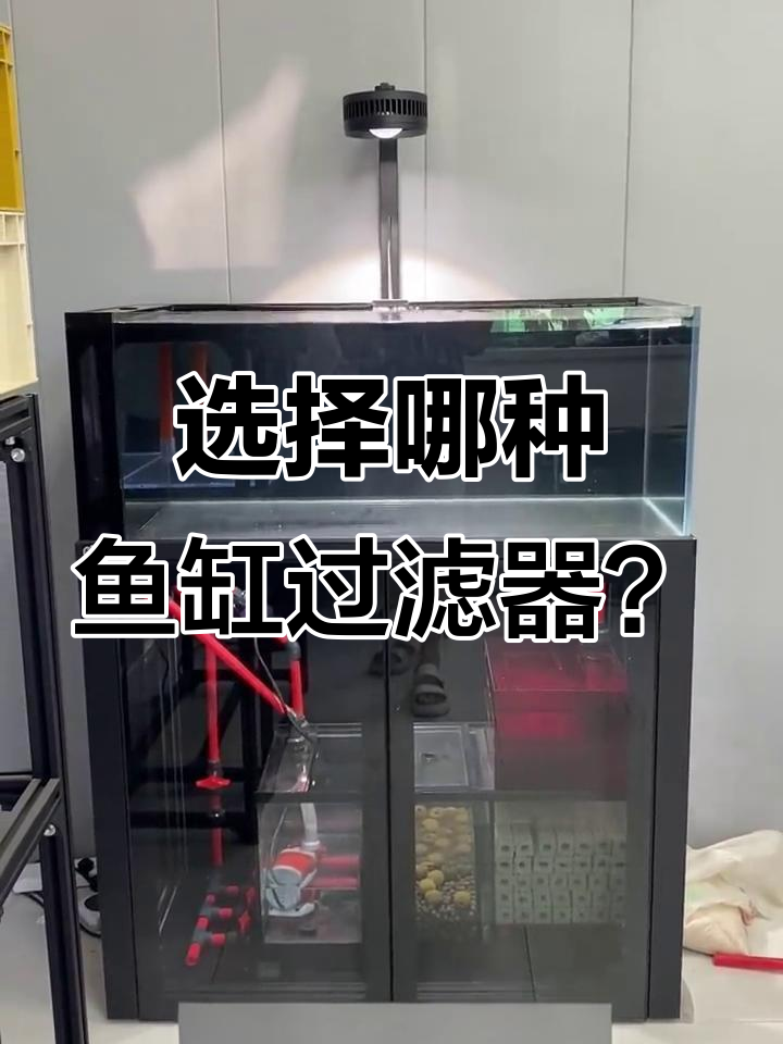 鱼缸过滤选择:主转箱与底滤的优缺点对比
