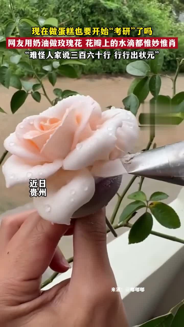 现在做蛋糕也要开始“考研”了吗?!网友用奶油做玫瑰花,花瓣上的水滴都惟妙惟肖!