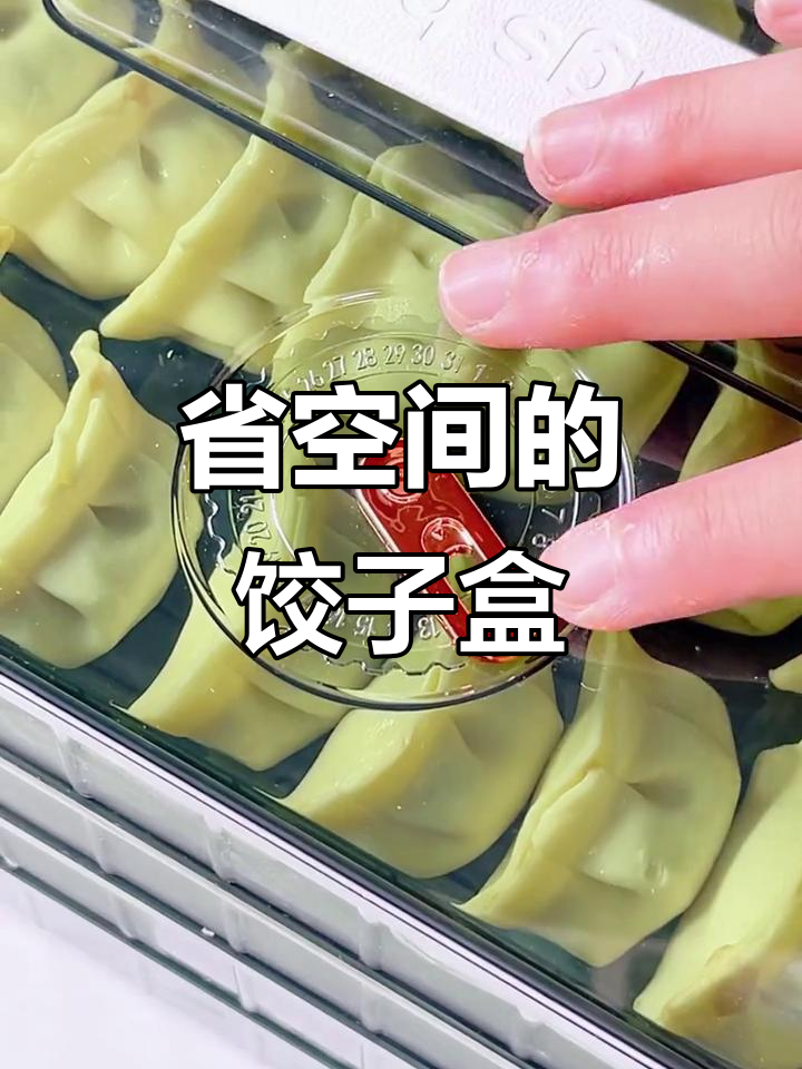 饺子盒设计精美,冷冻不粘连,节省空间又实用