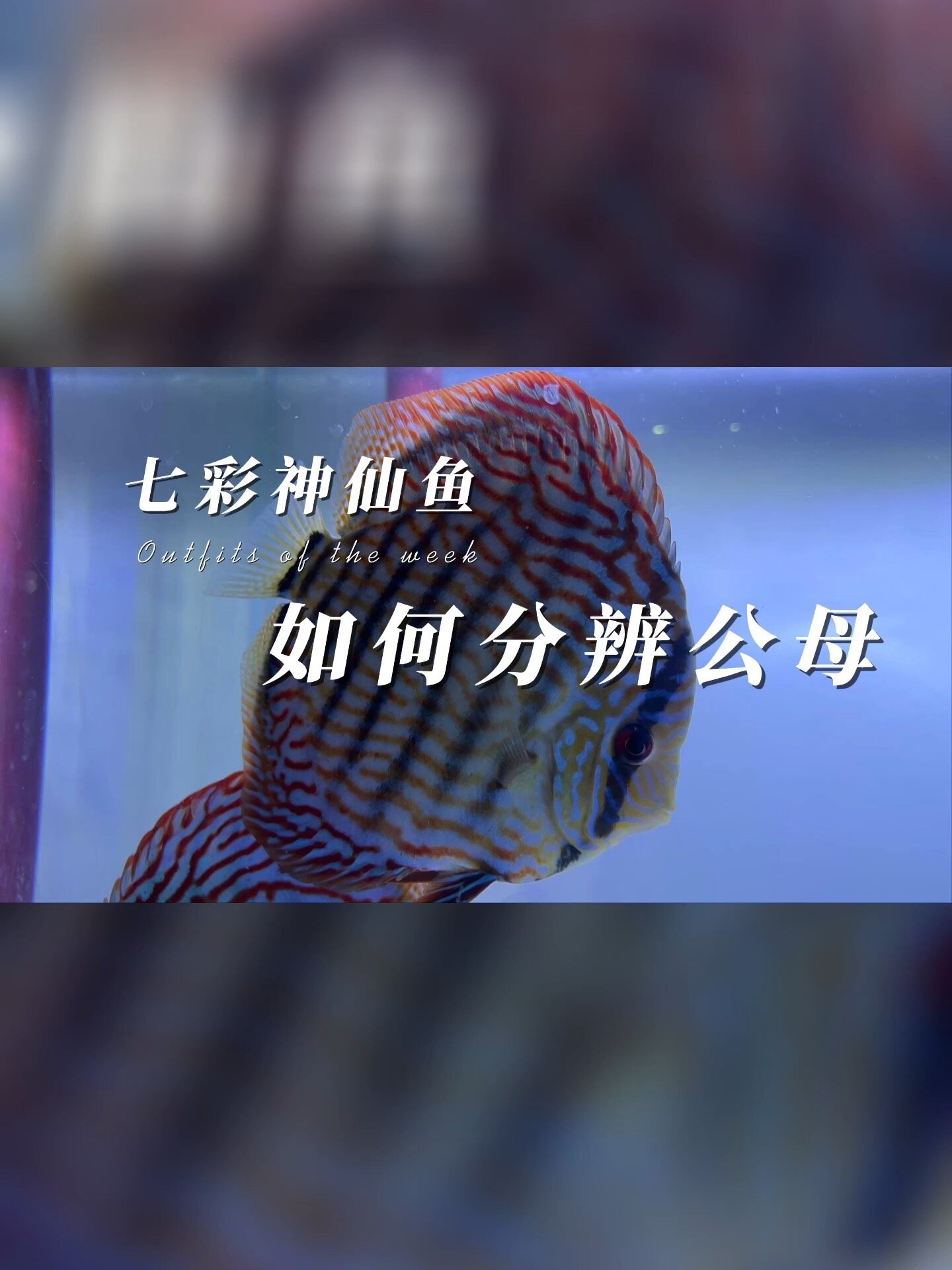 00000