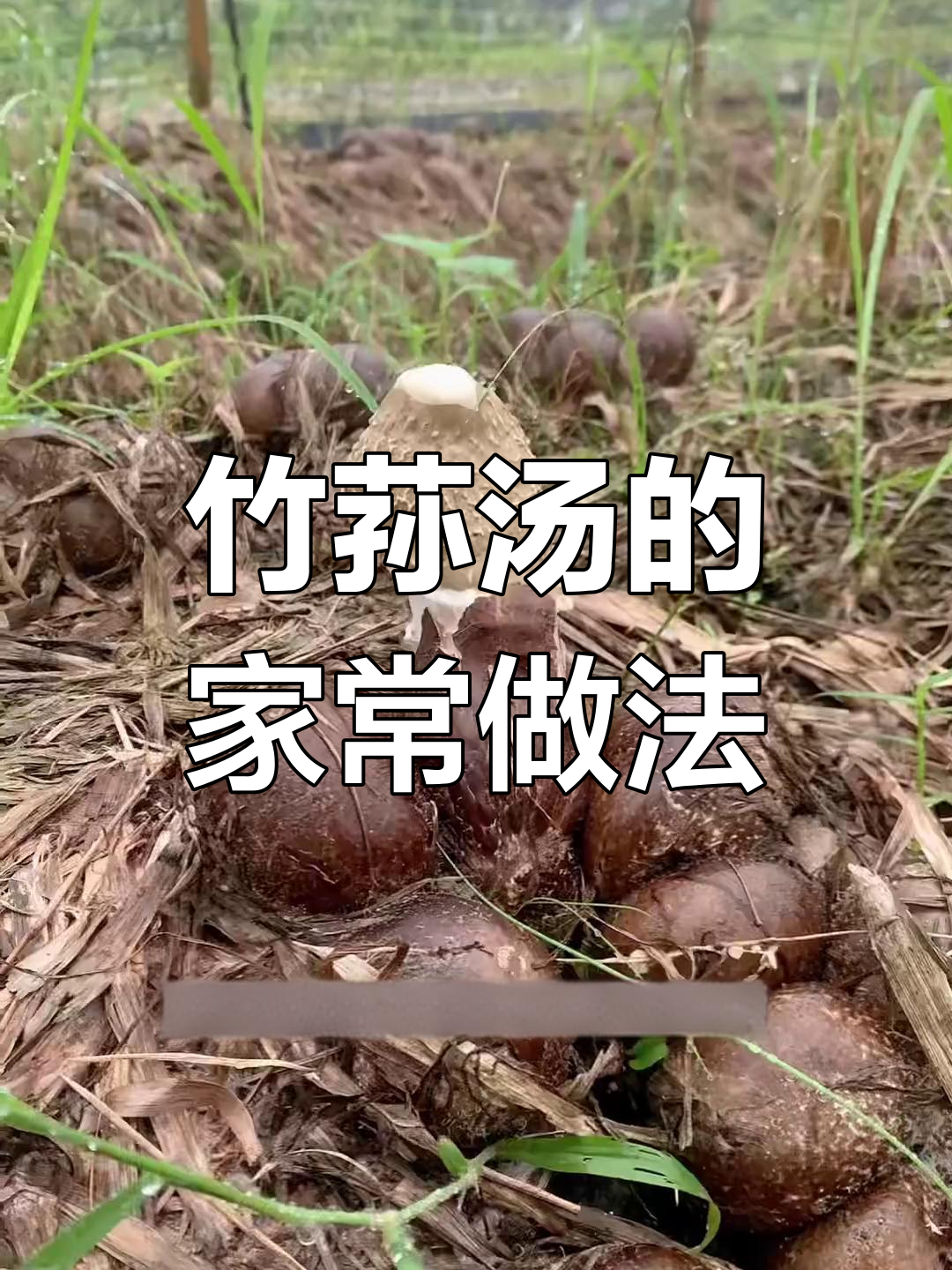 竹荪汤鲜美可口,做法简单,赶紧试试吧!