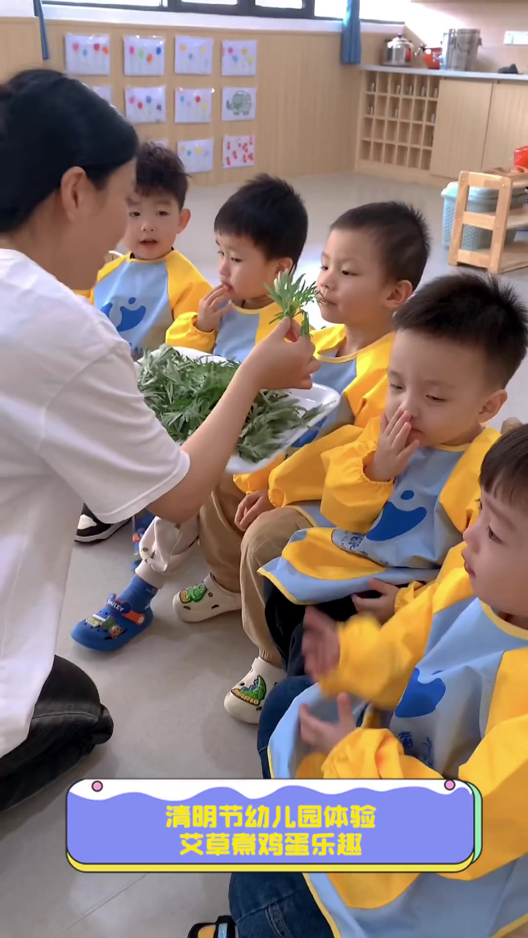 清明节幼儿园体验,艾草煮鸡蛋乐趣