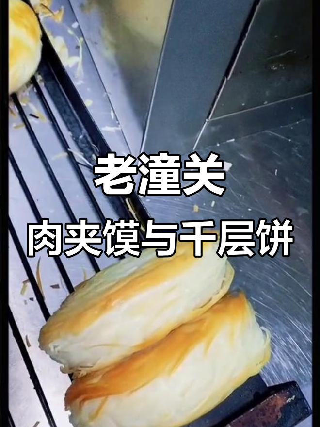 爸爸带娃吃老潼关肉夹馍,电烤箱烤千层饼超香