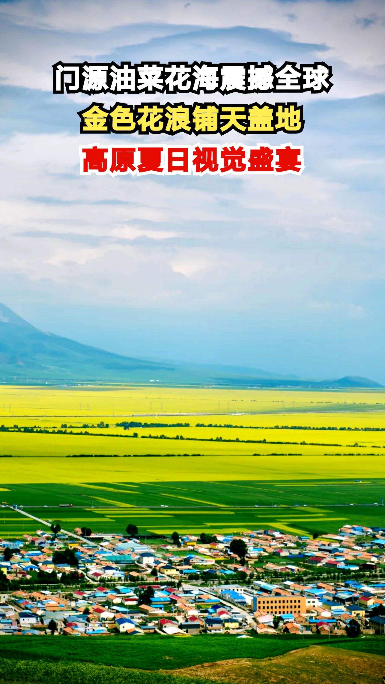 青海门源60万亩油菜花盛开，金色海洋与雪山相映成趣，你见过吗？