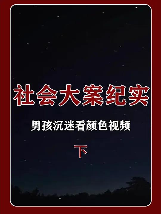男孩沉迷看颜色视频,4元一条,竟牵出上亿大案!真实事件 大案纪实 教育 社会百态 案件解说