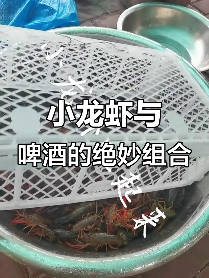 小龙虾配啤酒,雨天里的完美搭配