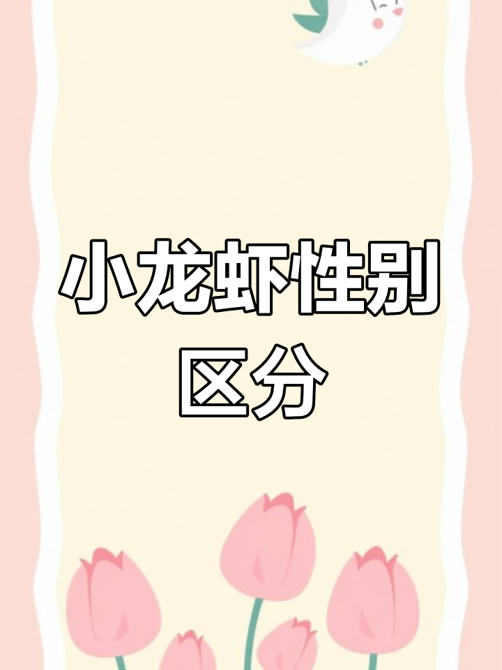 小龙虾公母分辨技巧，轻松搞定！