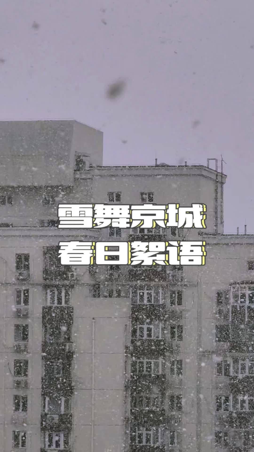 雪舞京城 春日絮语 北京迎来了新年的第一场春雪。漫天雪花轻盈地舞动着,像是无数精灵在空中跳
