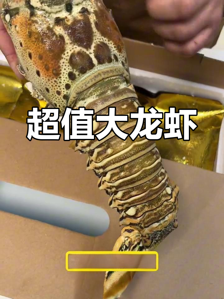新鲜古巴大龙虾,肉质鲜嫩超值