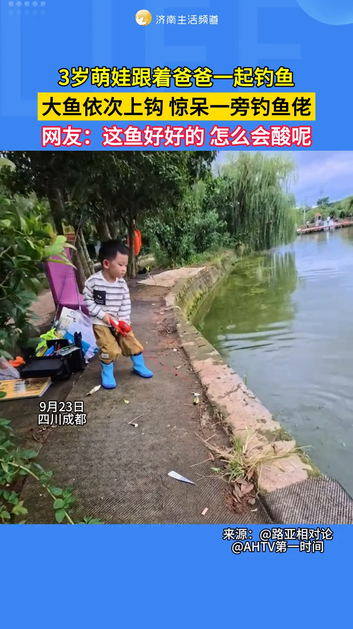 3岁萌娃跟着爸爸一起钓鱼,大鱼依次上钩,惊呆一旁钓鱼佬