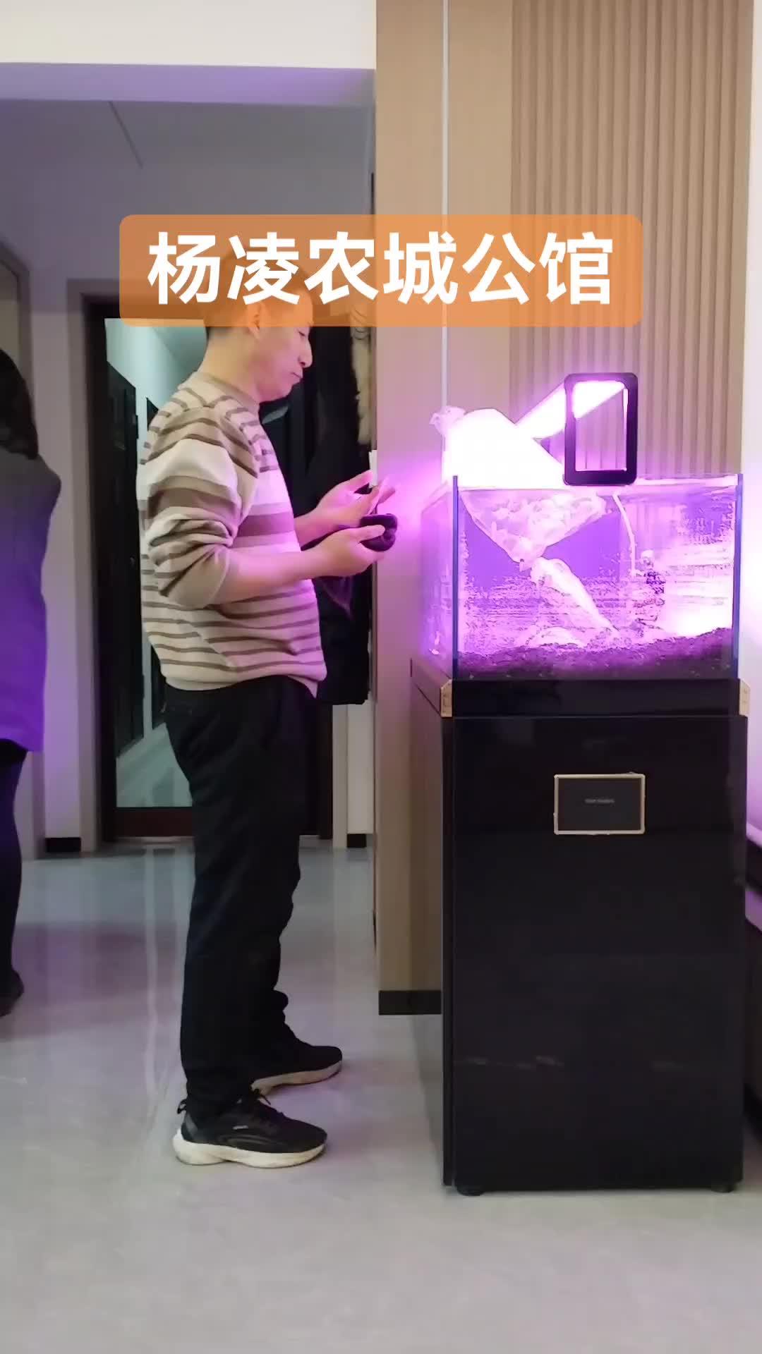 客户乔迁新居择吉时安装鱼缸到位 杨凌农城公馆 杨凌马拉松 杨凌鱼缸安装 杨凌可丽爱鱼缸