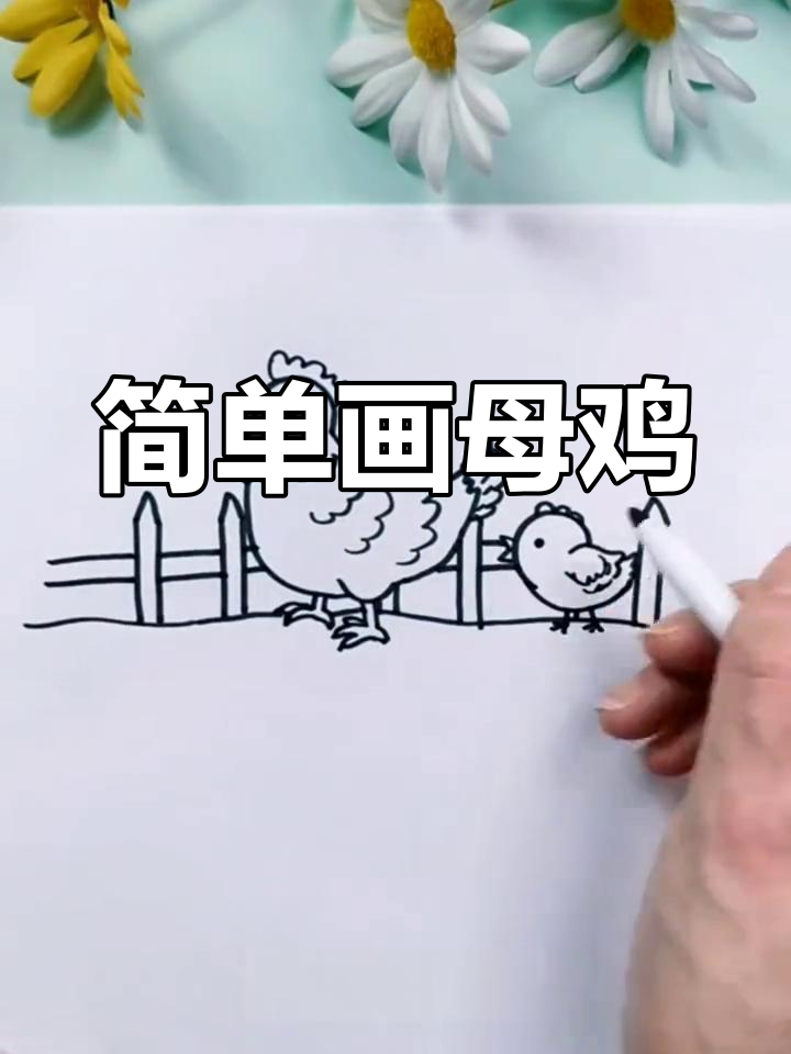 母鸡与小鸡简笔画教程