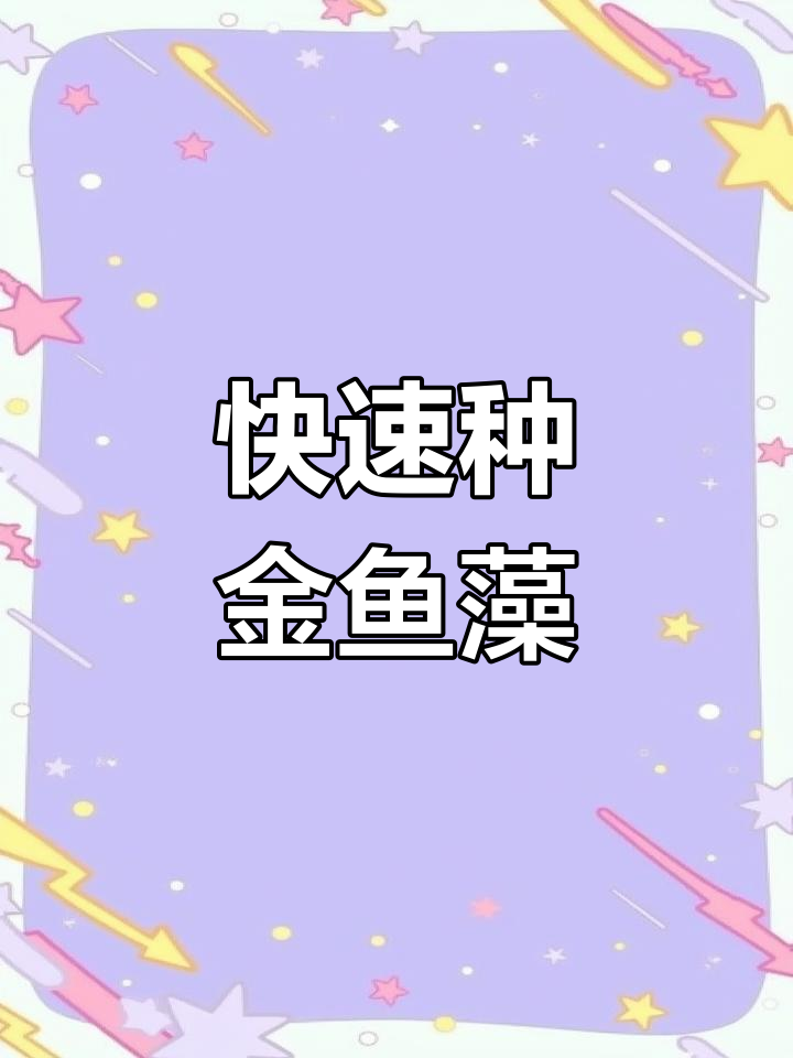 金鱼藻水草种植与净化水质技巧
