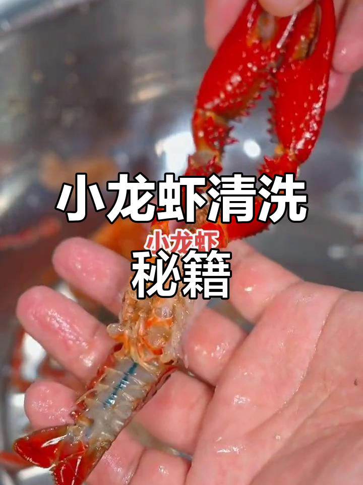 小龙虾清洗全攻略，哪些部位不能吃？一文搞定！