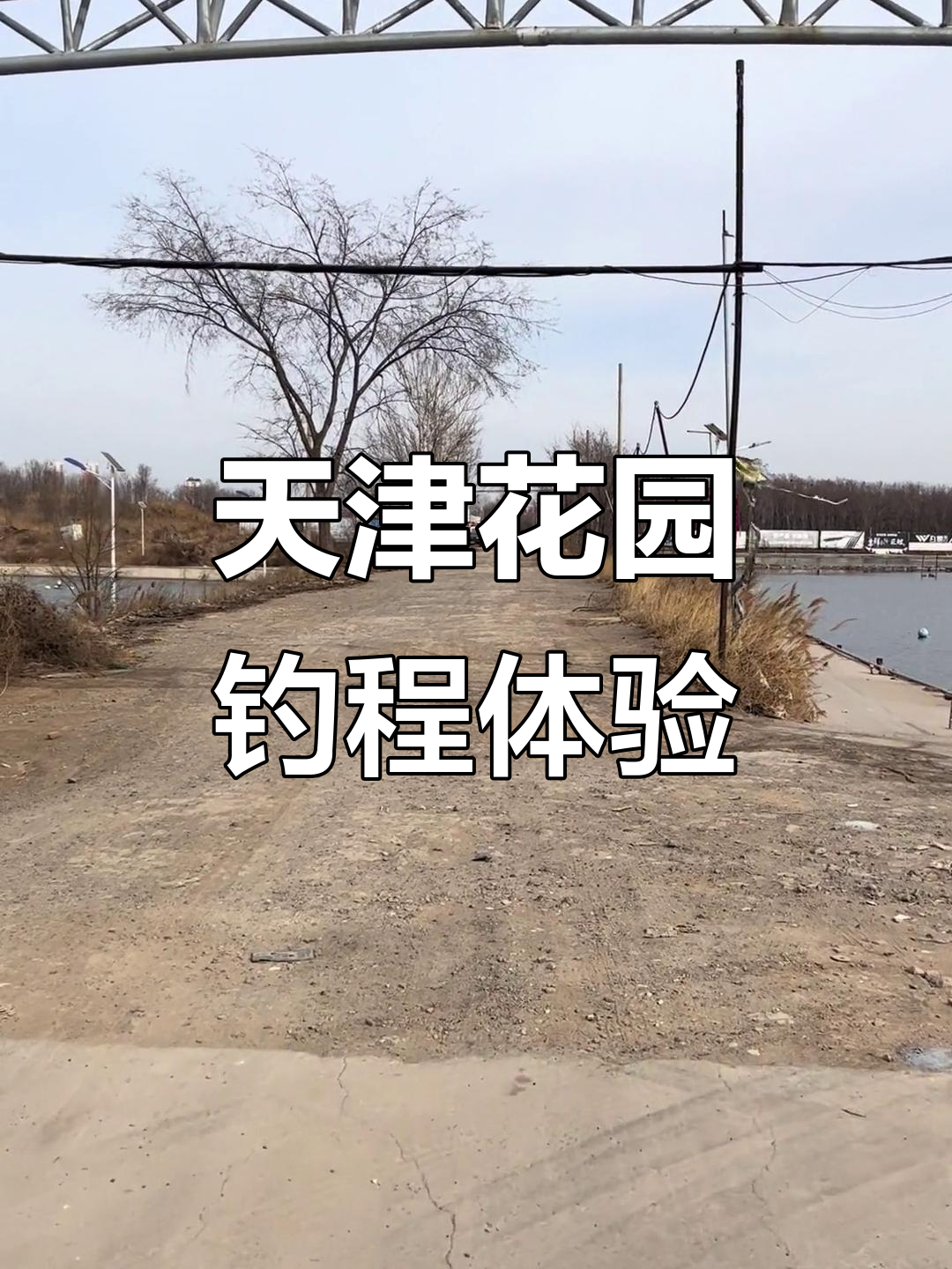 天津静海花园黑坑大揭秘，大棚里的钓鱼天堂