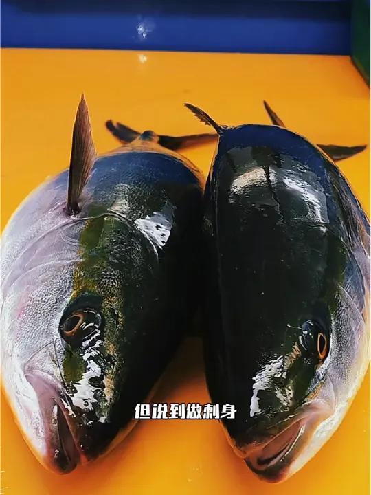 小鱼钓大鱼,青甘是制作刺身的最佳鱼种 钓鱼的乐趣只有钓鱼人懂 钓鱼人 刺身