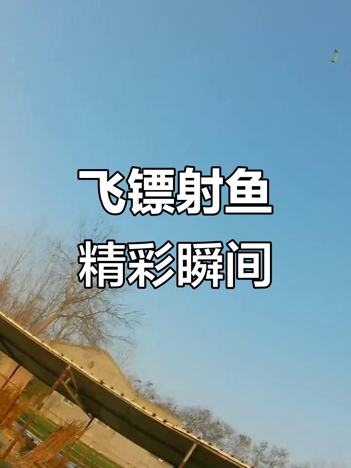 传统飞镖射鱼挑战,直接命中惊艳全场