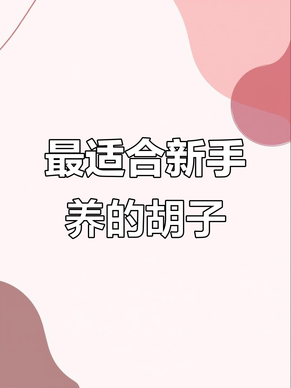 雪花胡子和迷彩胡子区别大揭秘，最适合新手的黄金品种