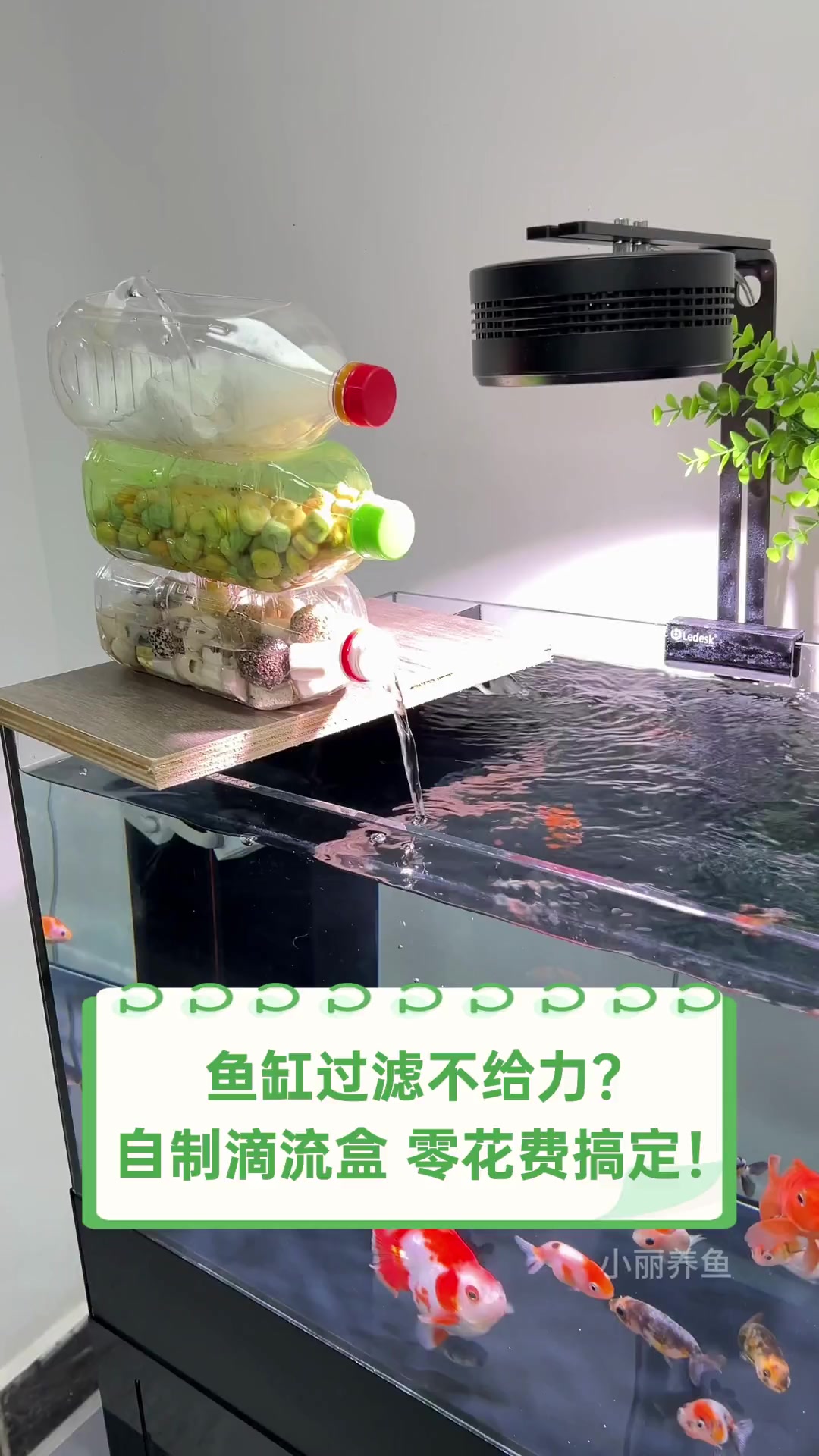 鱼缸过滤不给力?自制滴流盒,零花费搞定!