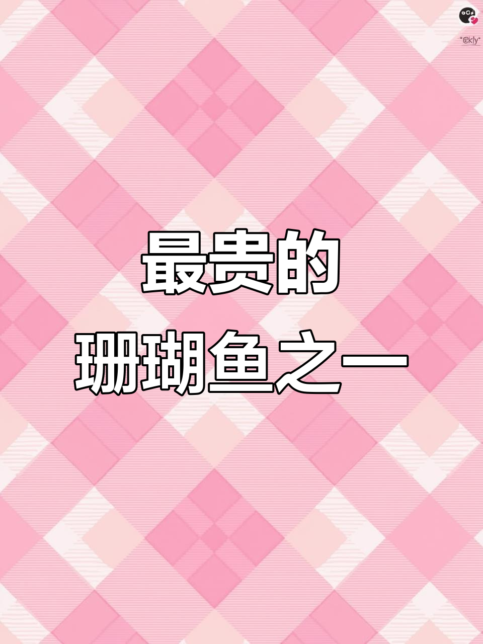 青衣鱼:比东星斑更珍贵的珊瑚鱼,鲜嫩美味让人惊艳