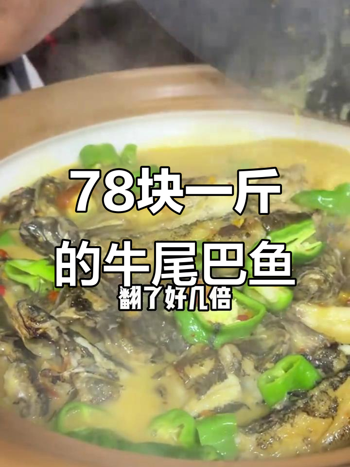 牛尾巴鱼78元一斤，比黄骨鱼肉嫩刺少，炖汤更香