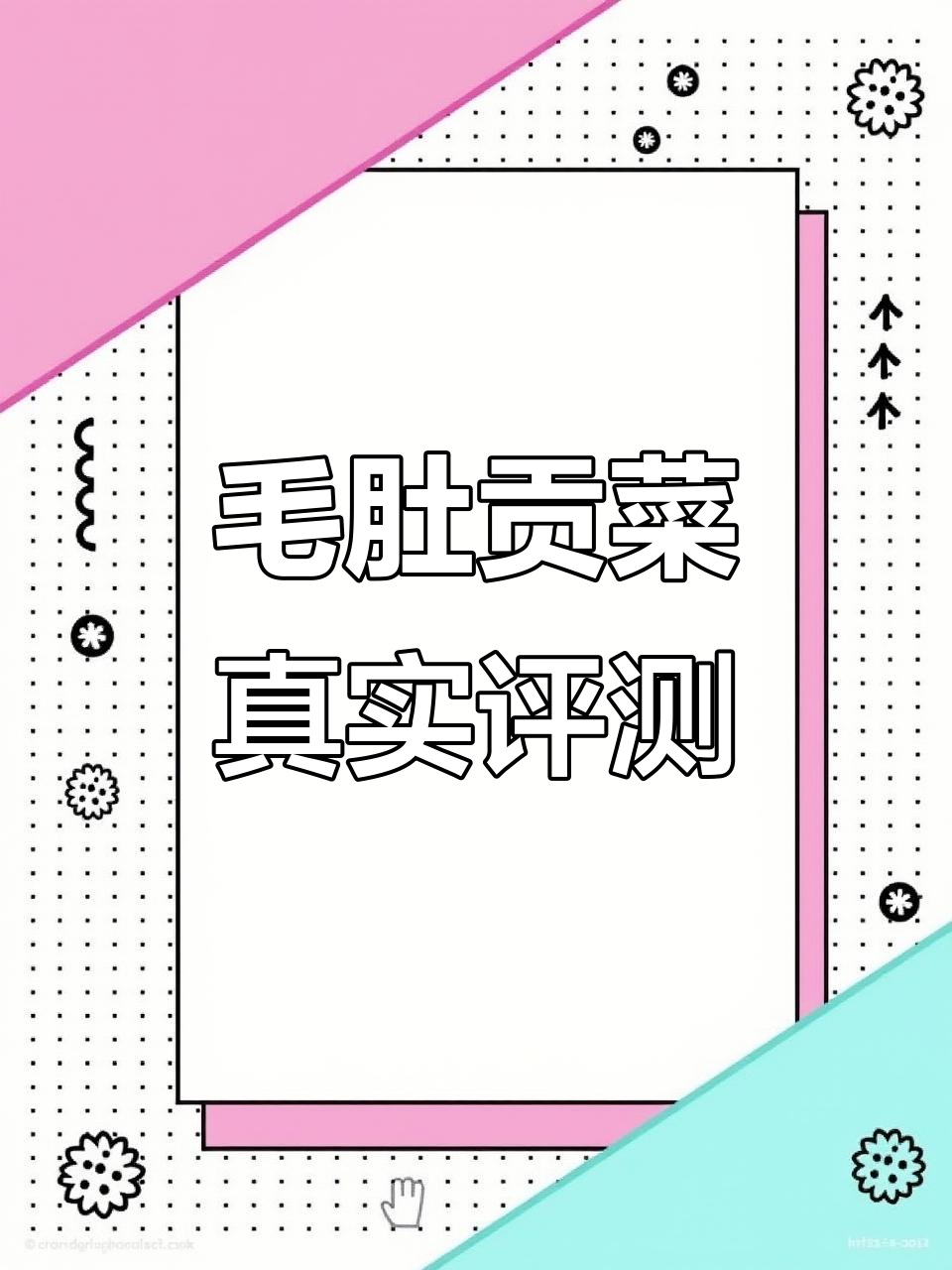 毛肚贡菜测评:口感与包装大揭秘