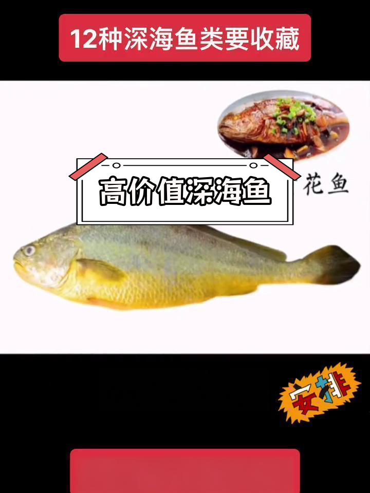 深海鱼类推荐:12种低污染高营养选择