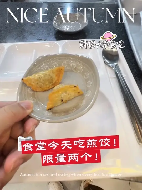 韩国食堂粉条馅的煎饺，限量吃两个！今天又是一顿美美的大餐，有粉条馅的饺子！麻婆豆腐居然是番