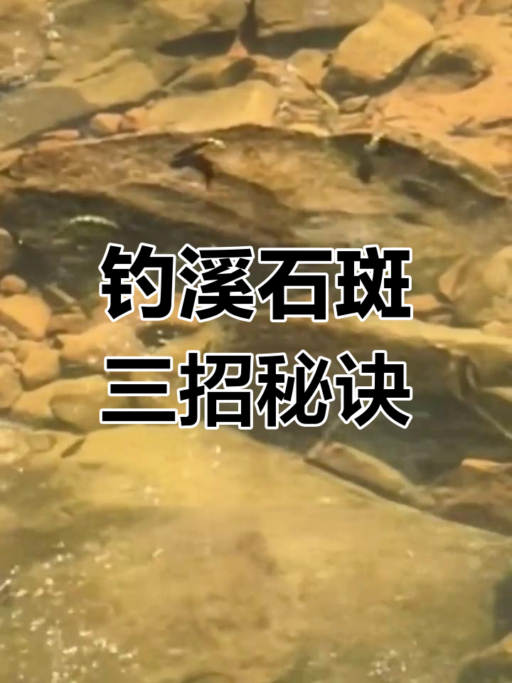 溪流钓石斑鱼三大技巧,轻松掌握钓鱼位与饵料搭配