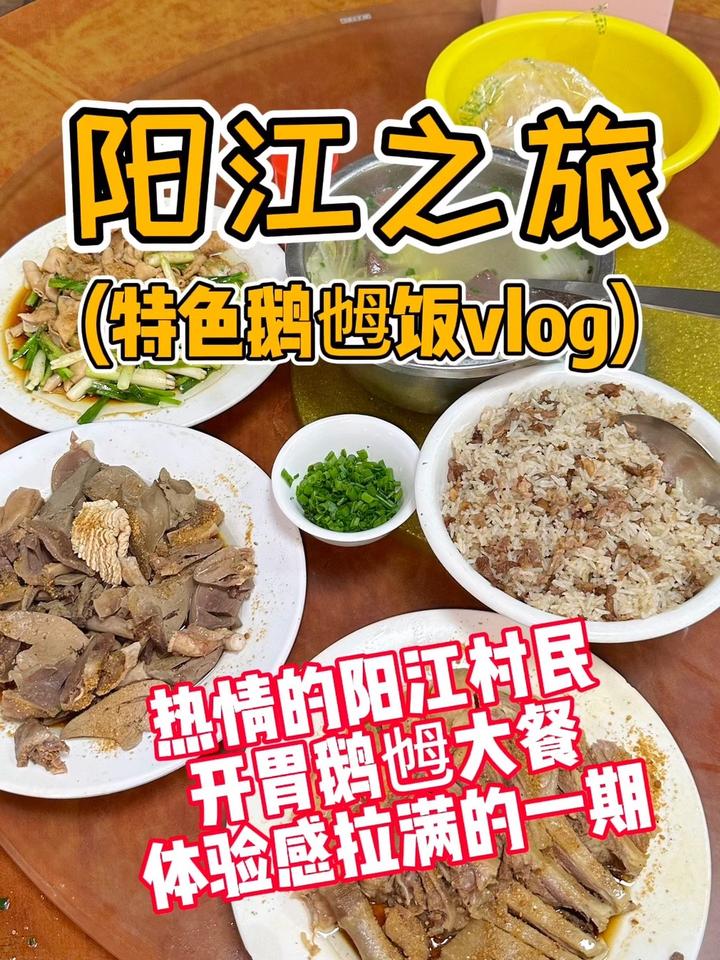 阳江特色鹅乸饭 还得是藏在村落这种店够人情味!