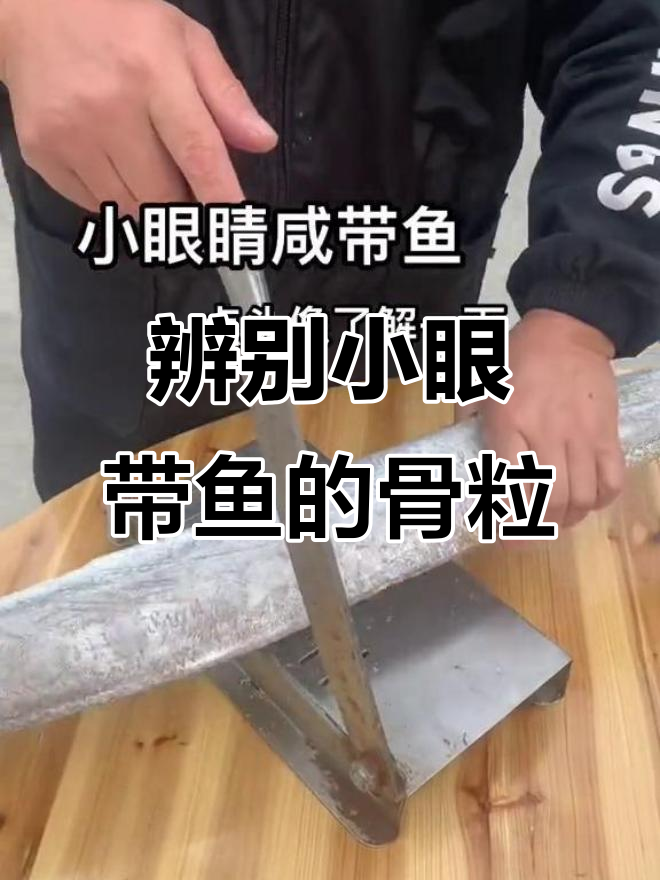 小眼带鱼骨头大小揭秘,如何判断是否为小眼睛风带鱼