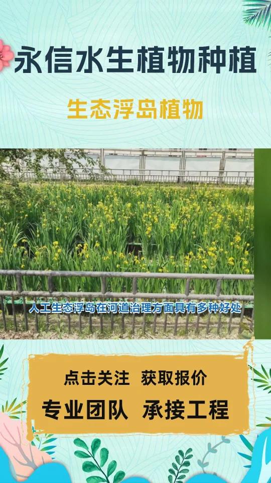 人工生态浮岛在河道治理方面具有多种好处,包括:提升河道水质:人工生态浮岛通过植物和微生物的