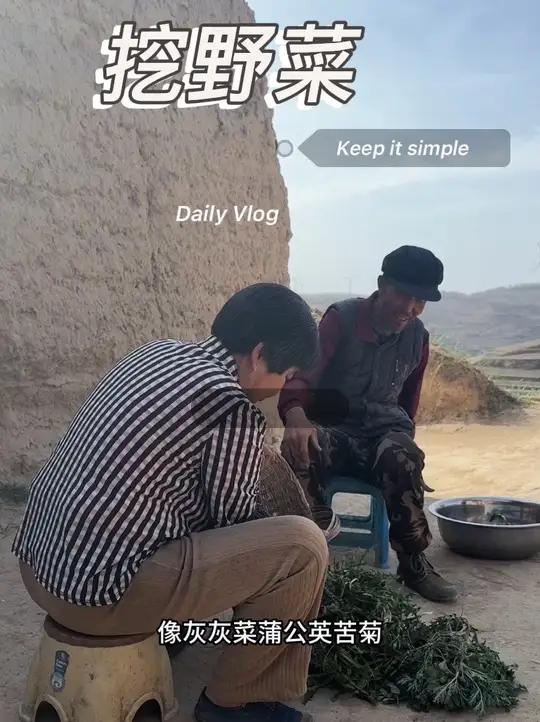 你们那里野菜吃过了吗?我们这边现在正是吃野菜的季节,苜蓿菜,灰灰菜,苦苣,蒲公英,荠荠菜,