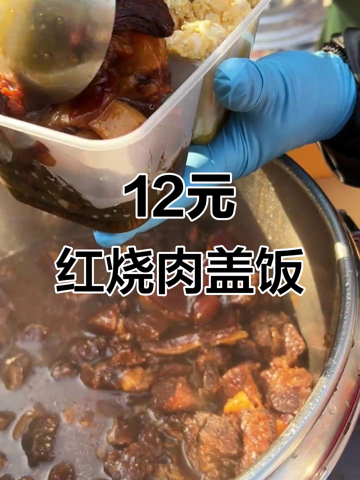 12元东北街头红烧肉盖饭,酸菜土豆炖大鹅超下饭