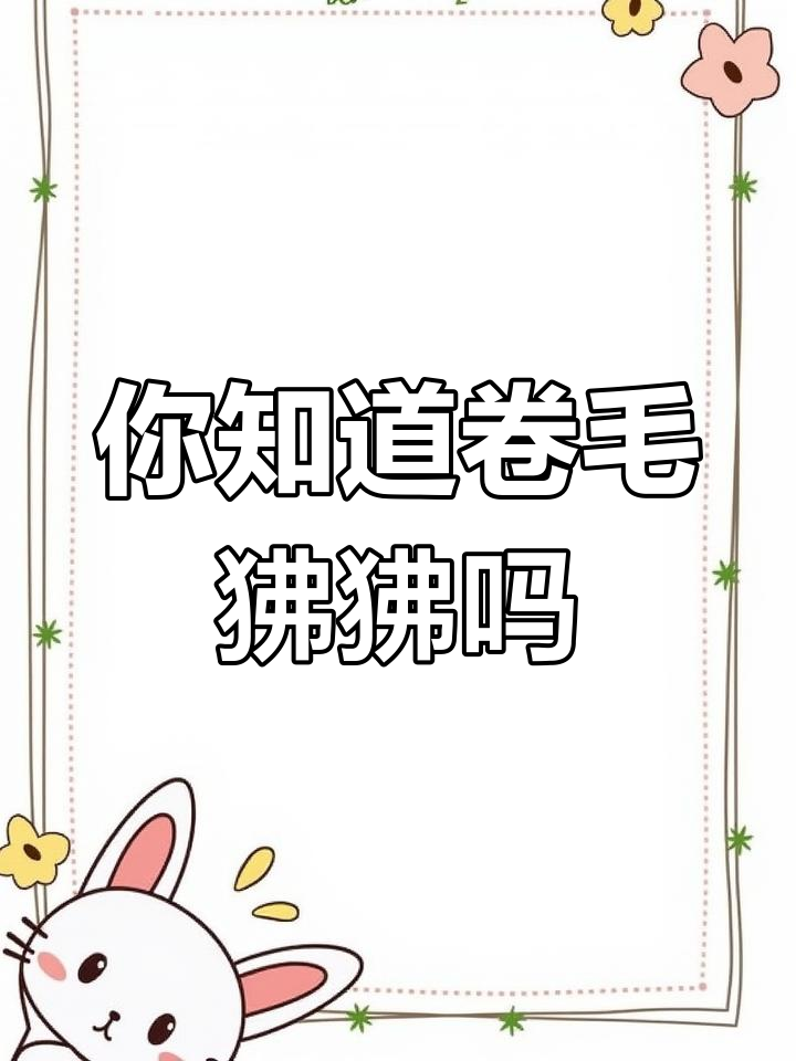 卷毛狒狒到底是什么意思?从智商低到粉丝昵称的转变