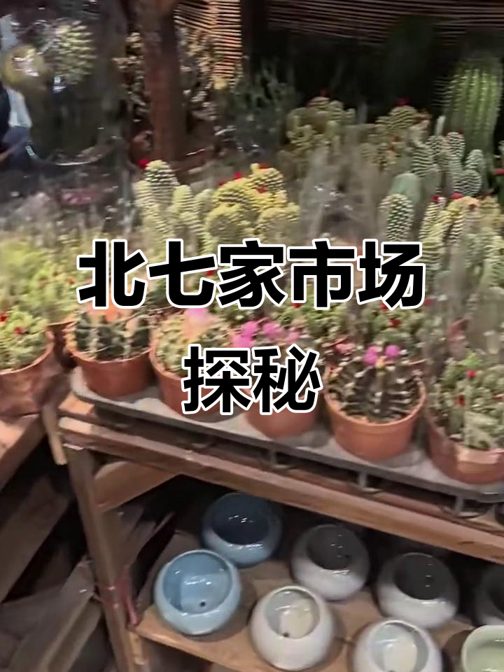 北京北七家花鸟鱼虫市场,周末逛吃全攻略