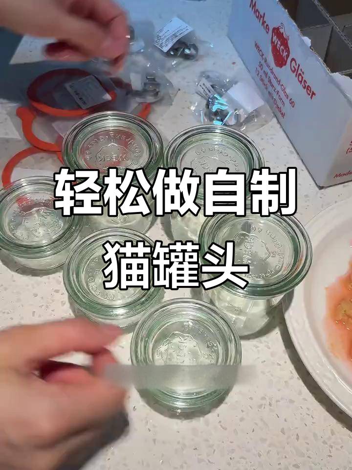 自制猫罐头,简单又美味!南瓜鸭胸肉搭配汤汁