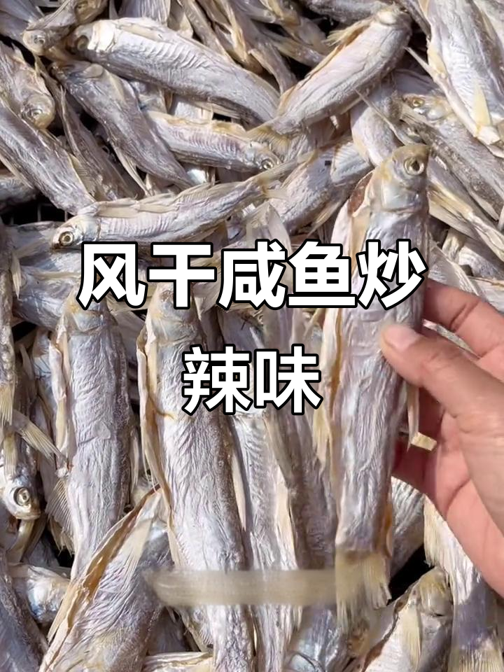 瓦埠湖野生咸鱼,自然风干后炒辣椒,肉质紧实香气扑鼻