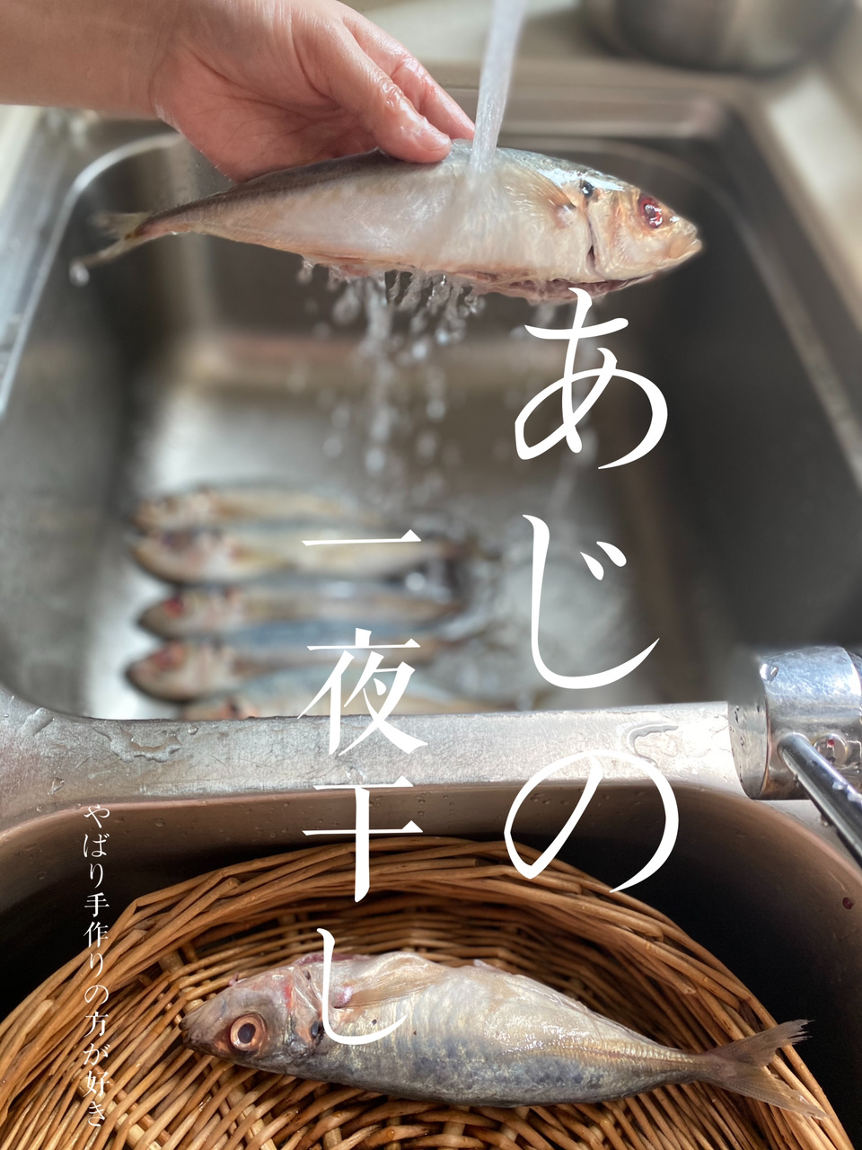 日本料理家食谱|竹荚鱼的一夜干(日式烤鱼)