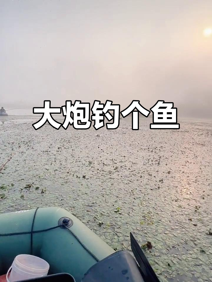钓鱼人疯狂开船,大炮轰鸣上岛捕鱼!