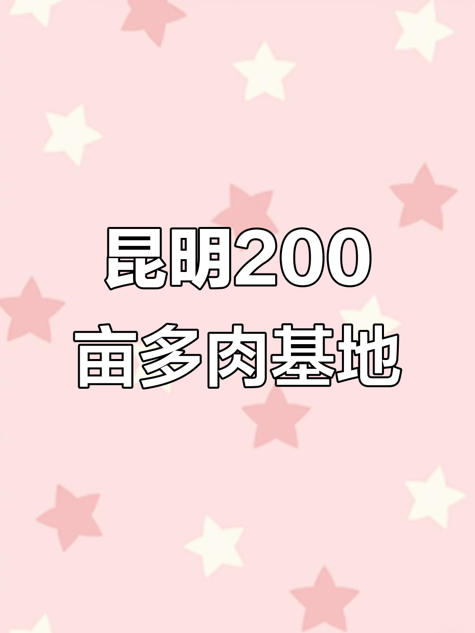 昆明大学城200亩多肉植物基地,打造云南最大培育中心