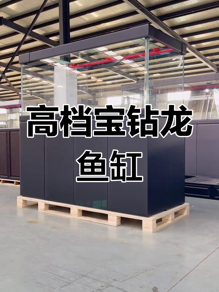 定制宝钻龙浴缸,超豪华配置与细节设计