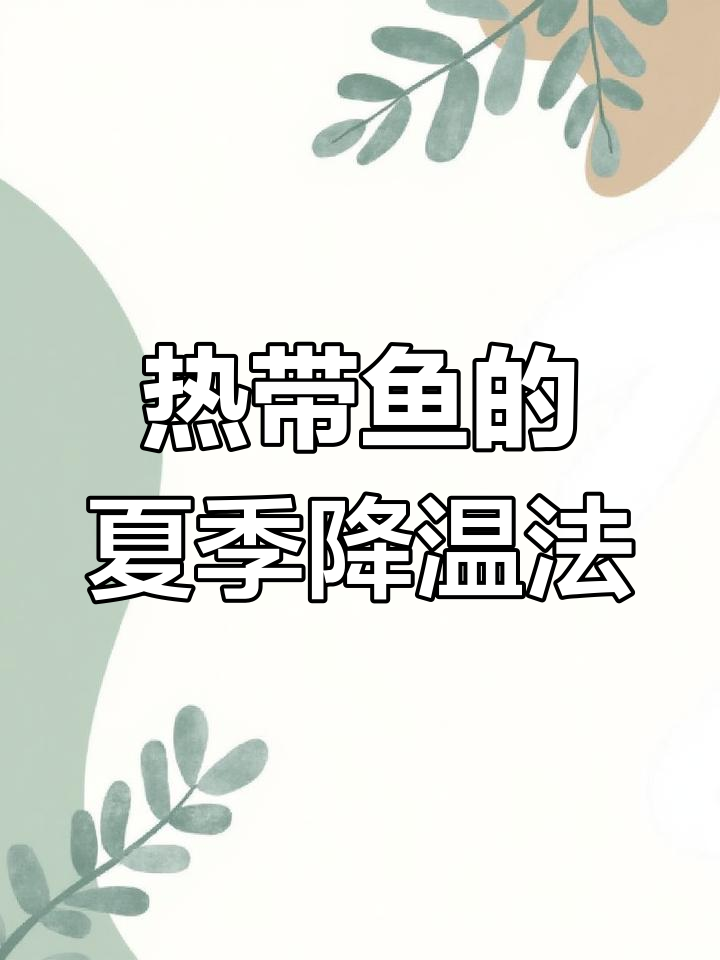 热带鱼也会被高温“烤”死?教你四个避暑小技巧