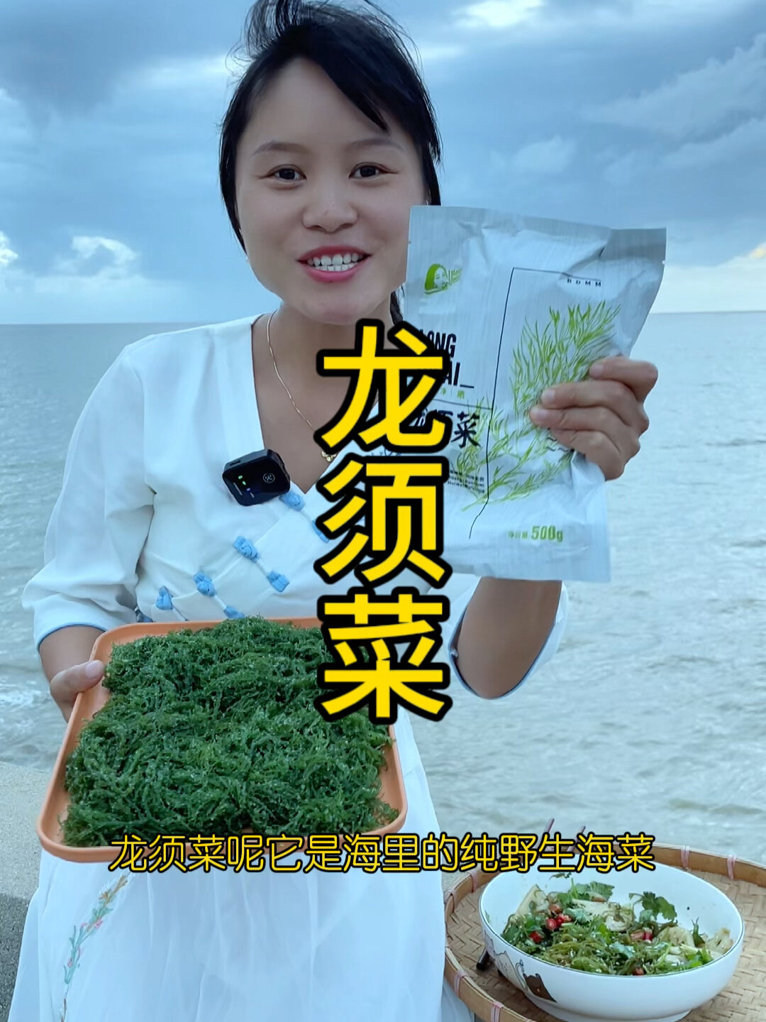 龙须菜海里纯野生的海菜