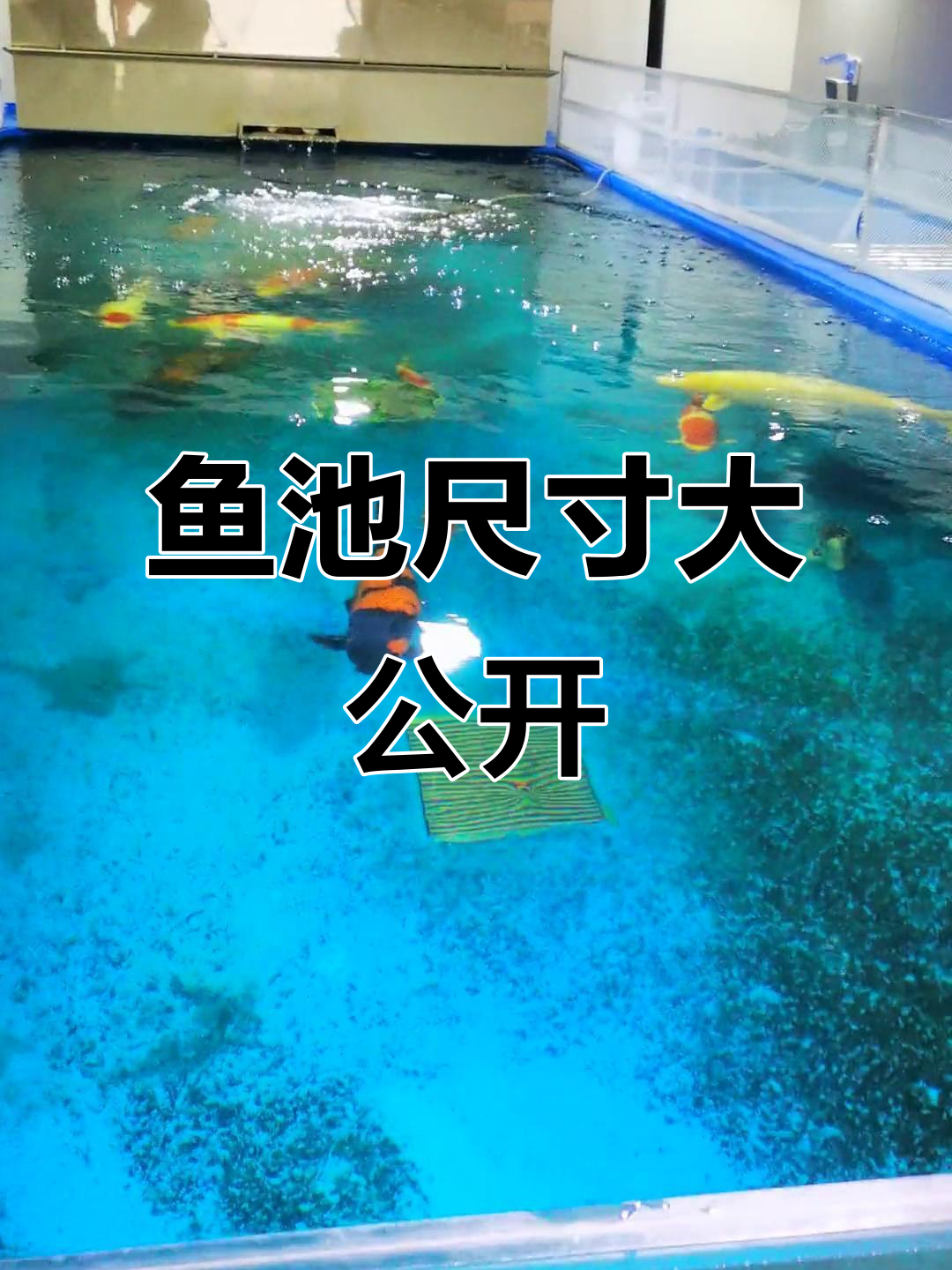 鱼池尺寸揭秘:7米长,侧滤滴流设计,发散管加持