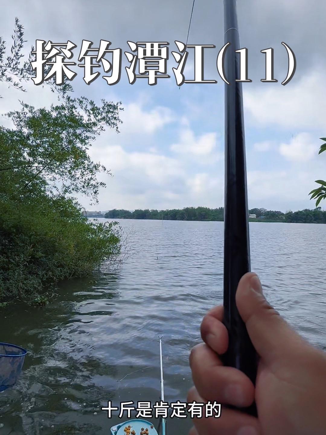 40斤窝料打下去效果炸裂，4米5短杆上大草鱼，不是一般过瘾 钓鱼人 老坛甜薯